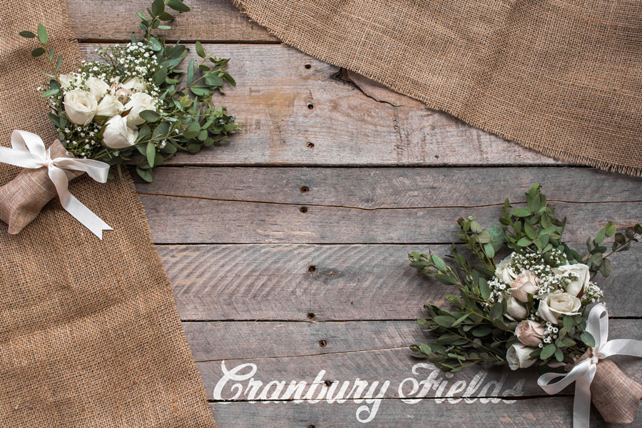 cranbury-testimonial