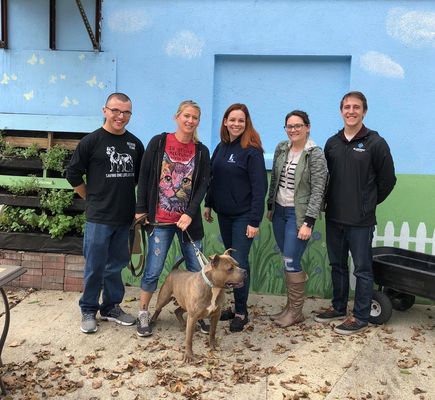 Clearing a Local Animal Shelter: A Pro Bono Social Media Project