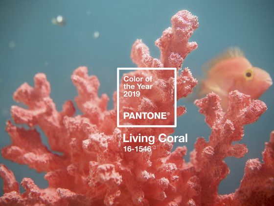 Pantone Just Announced Its Color of the Year 2019