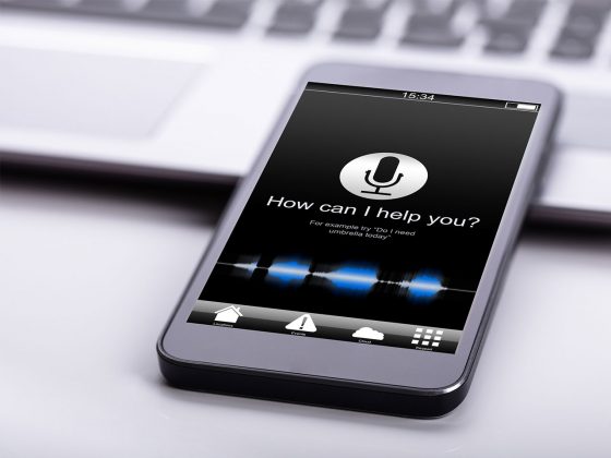 Maximize Your Voice Search Strategy in Tampa, FL